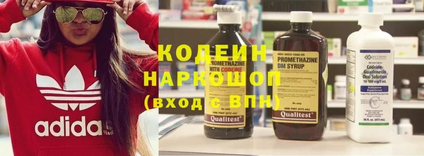 ГАЛЛЮЦИНОГЕННЫЕ ГРИБЫ Ельня
