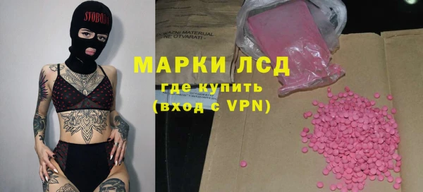 ГАЛЛЮЦИНОГЕННЫЕ ГРИБЫ Ельня