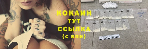 ГАЛЛЮЦИНОГЕННЫЕ ГРИБЫ Ельня