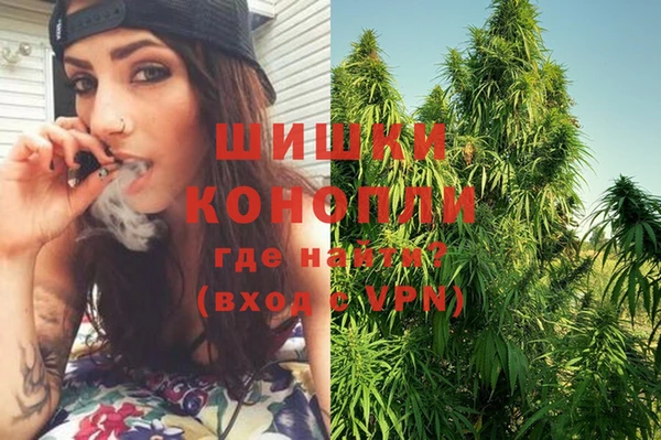 PSILOCYBIN Богородск