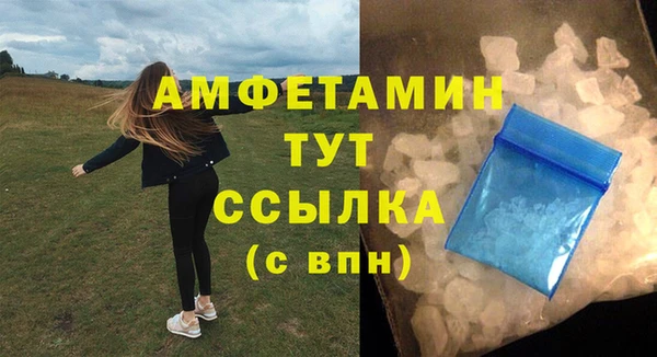 ГАЛЛЮЦИНОГЕННЫЕ ГРИБЫ Ельня
