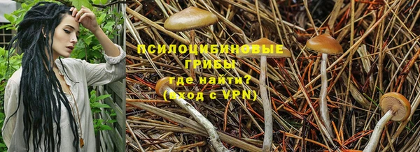 спайс Богородицк