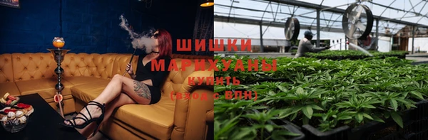ГАЛЛЮЦИНОГЕННЫЕ ГРИБЫ Ельня