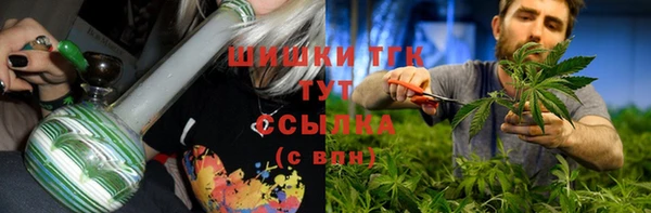 ГАЛЛЮЦИНОГЕННЫЕ ГРИБЫ Ельня
